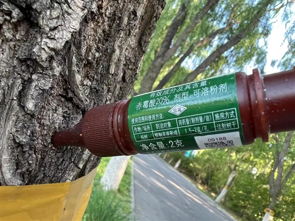 “变性”、打针都改不了的“坏毛病”:人类还要被折磨多久?