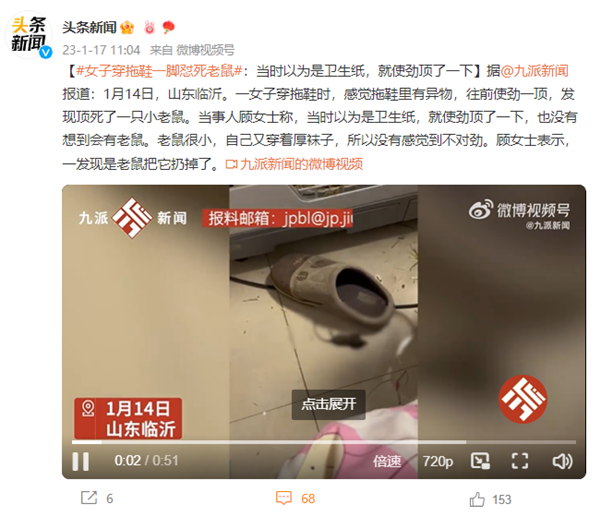 女子穿拖鞋一脚怼死小老鼠 万幸没被咬：比猫狗更可怕