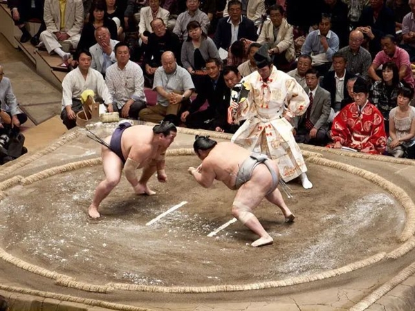 泰森能打过银背大猩猩吗?1988年他出1万美元挑战 惨遭2次拒绝
