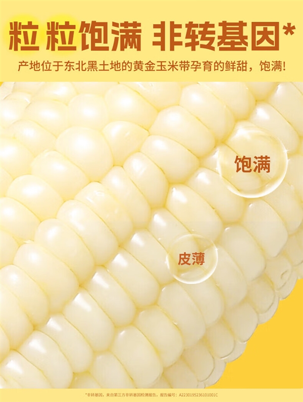1粒甜3粒糯 软糯能拉丝：黑土地五常甜糯玉米19.9元8根大促