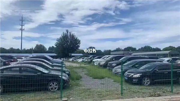 想买法拍车捡漏?你可能得先准备10本驾照