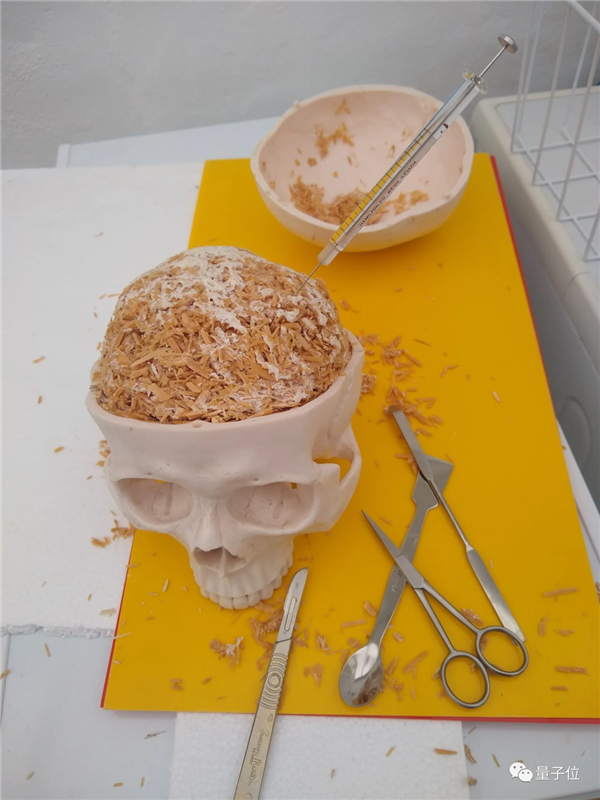 用蘑菇就能搞出计算机主板?