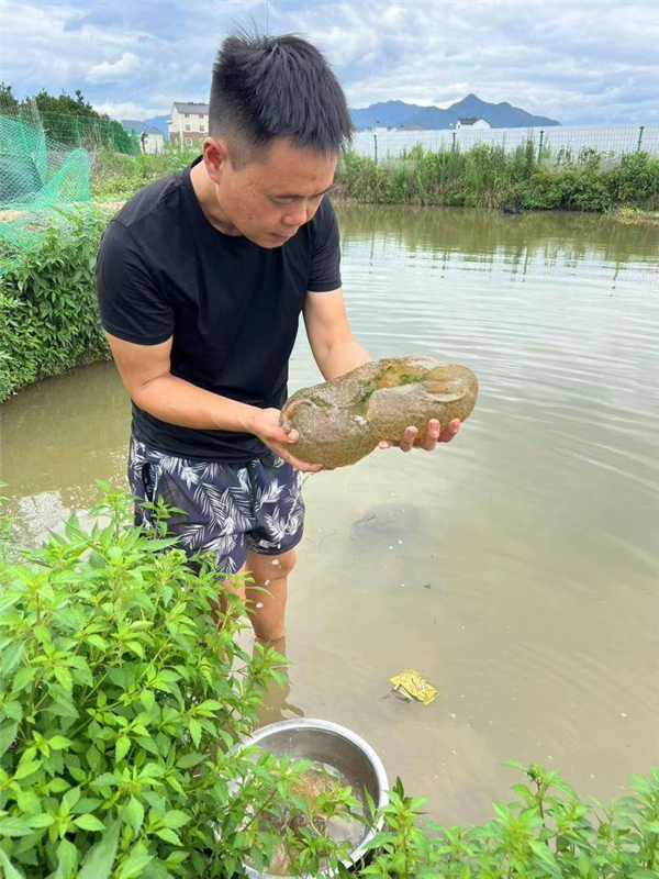 湖中惊现神秘哥斯拉之卵：它的祖先5.3亿年前就存在地球！