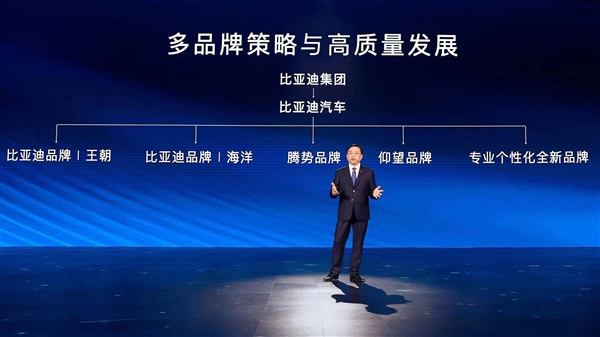 比亚迪能否赚大钱 就看腾势了