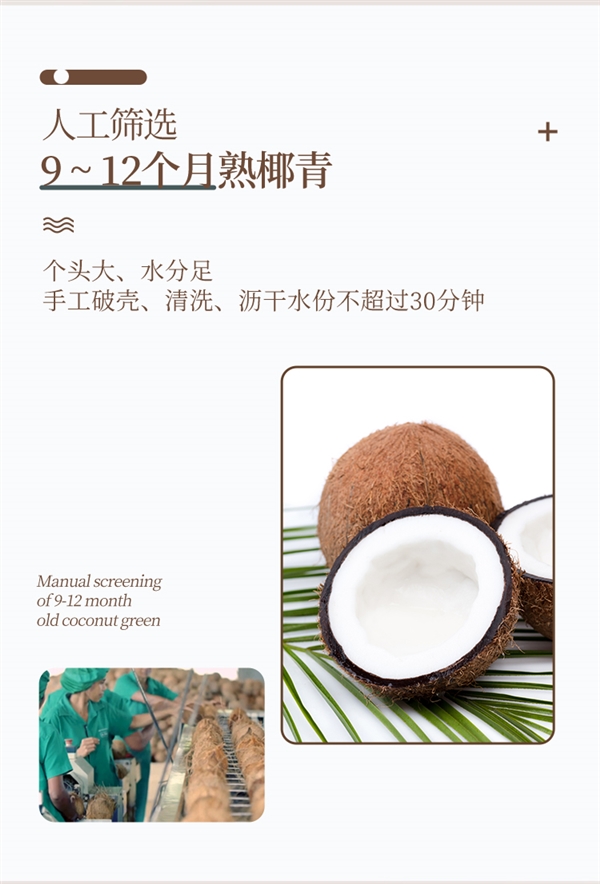 一次购买喝到爽!冻颜密码椰汁临期大促:9.9元/大瓶超值