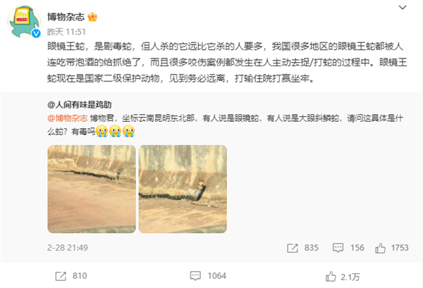 网友偶遇眼镜王蛇求助 博物杂志:务必远离、打输住院打赢坐牢
