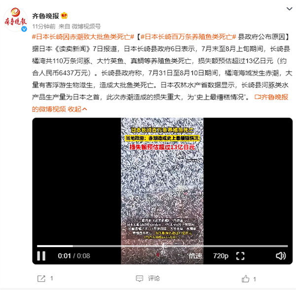 赤潮大爆发！日本长崎百万条养殖鱼死亡：损失超13亿日元