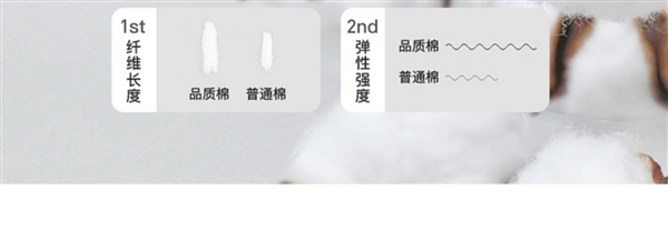 不易变形:220g重磅纯棉短袖19.9元新低(原价59元)