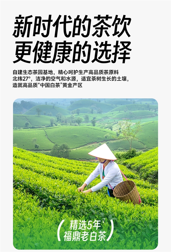0糖0卡0脂 5年福鼎老白茶:福鼎原煮白茶1.8元/瓶发车