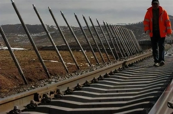青藏铁路两边插着1.5万根铁棒 传言20万元1根：有什么用