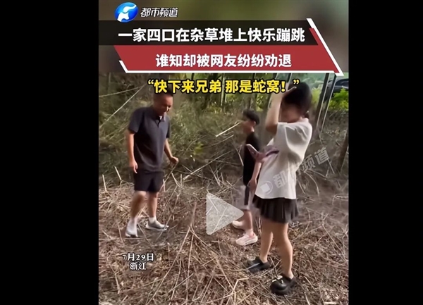 一家四口在杂草堆上快乐蹦跳 网友紧急喊停：过山峰蛇窝