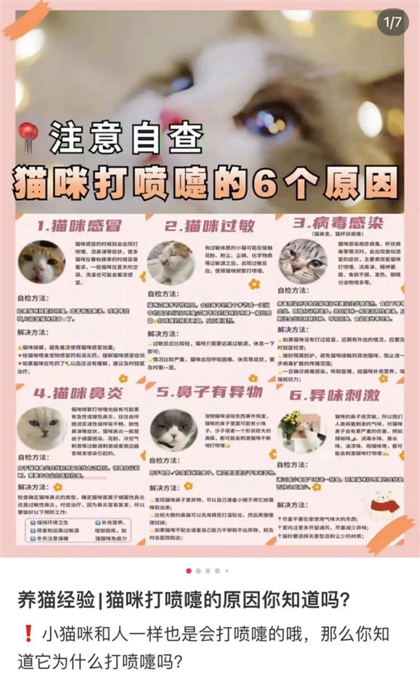 当我奶奶都开始用小红书:搜索引擎们不妙了
