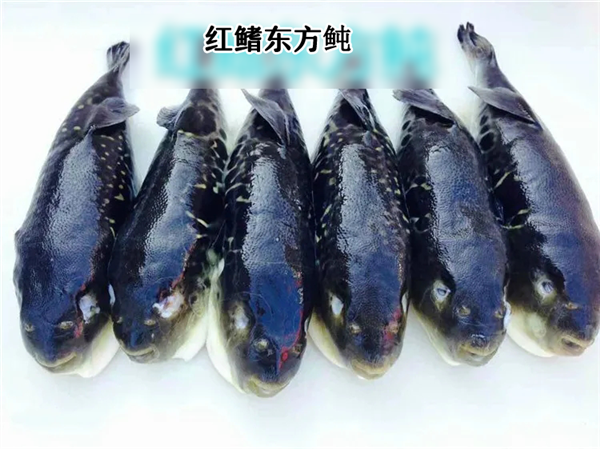 别吃、有剧毒!严重可致命:目前尚无特效药