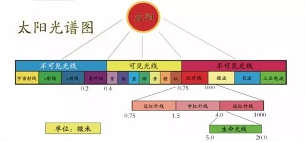 7亿中国人近视!到底是基因的突变?还是环境的变化?
