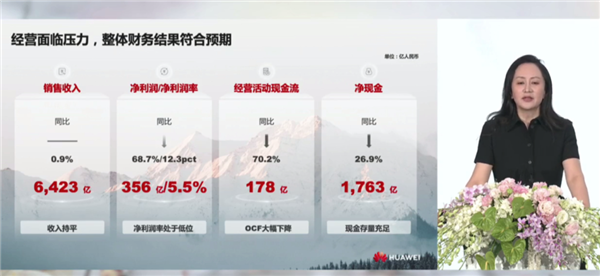 华为利润大跌 这日子过得是有点苦