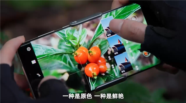 深入西双版纳热带雨林拍亚洲象 华为Mate50系列超光变XMAGE影像有多牛？