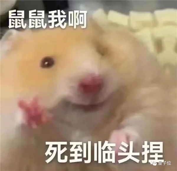 出走创业者痛批谷歌官僚之风！发表四千字“鼠鼠文学”细数其罪状