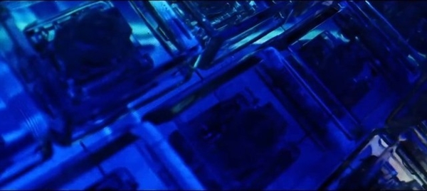 脑洞大开的机械键盘 内部竟搭CPU和GPU