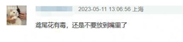 知名女演员最新大片引争议 网友惊呼:这花有毒!
