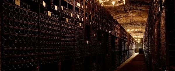 欧洲奇树的皮长到15厘米厚：有人剥树皮年入40亿成首富