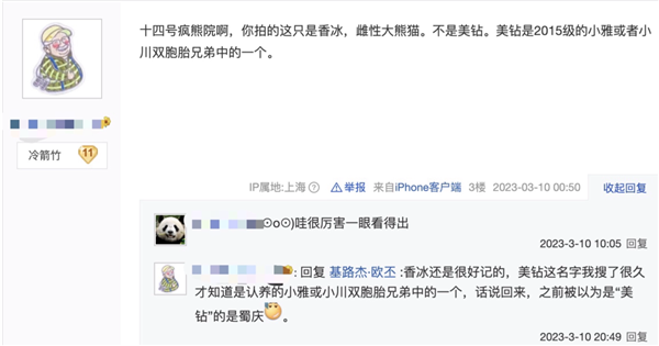 上下五千年 熊猫第一次有了站姐