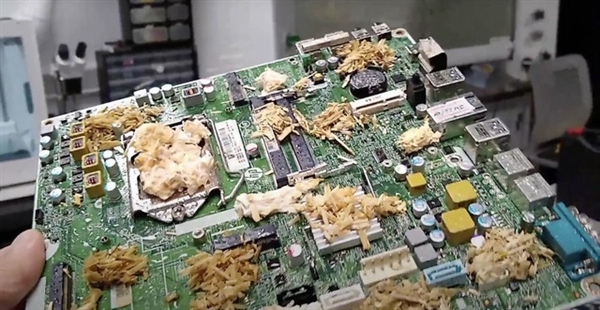 用蘑菇替代CPU和内存!英国科学家成功研发蘑菇PC原型