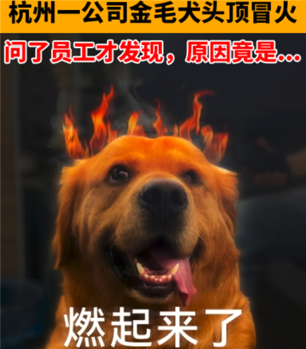 算法正在谋杀新闻 十亿中国网友却为此狂欢