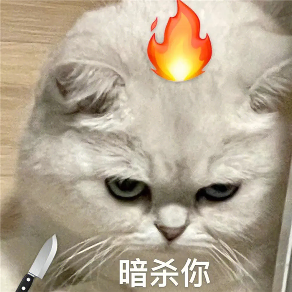 官方二手车靠谱吗！靠谱 但只能靠一点点