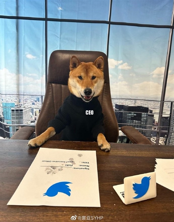 看笑!马斯克将推特图标换成柴犬:网友纷纷创意P图跟帖