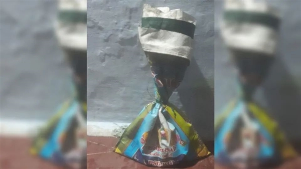 印度发现1.5米白化眼镜蛇:一般活不过24小时 但它不一样