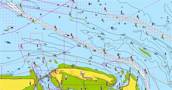 南极惊现20只触手的“海怪”！为啥深海动物都胡乱长？