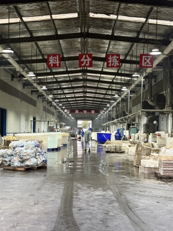 新疆的海鲜、甘肃的虾 农业大摸底太精彩了