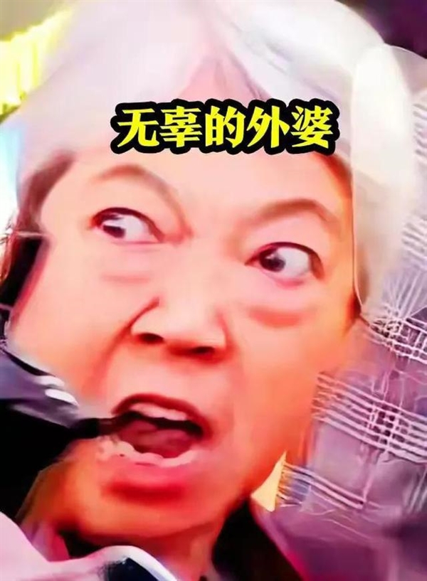 “插队婆孙”被做成恶搞表情包:如此“网暴”是否合适?