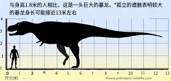 现代哺乳动物穿越到中生代 能否竞争过恐龙