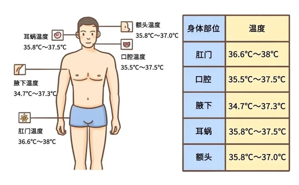 2个体温计竟然差1℃！到底哪个准？我发烧了没？