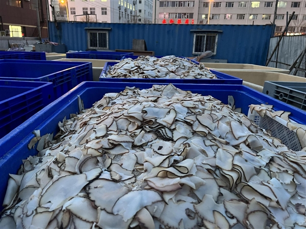 硼砂泡海鲜黄金鲍后续：企业竟紧急转移产品至废品站