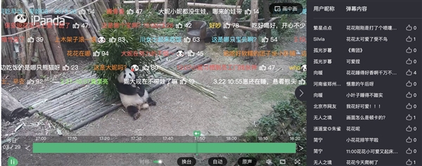 上下五千年 熊猫第一次有了站姐