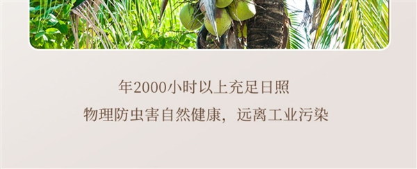 一次购买喝到爽!冻颜密码椰汁临期大促:9.9元/大瓶超值