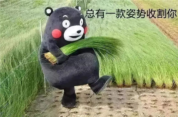 ChatGPT都快成韭菜收割机了!A股出现魔幻一幕
