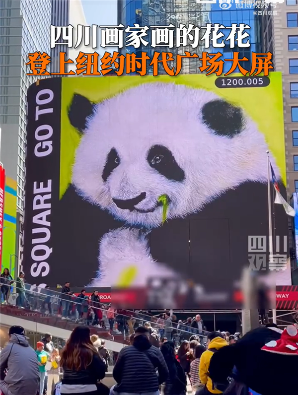 熊猫界女明星！花花登上纽约时代广场大屏：靠卖萌坐拥百万粉丝