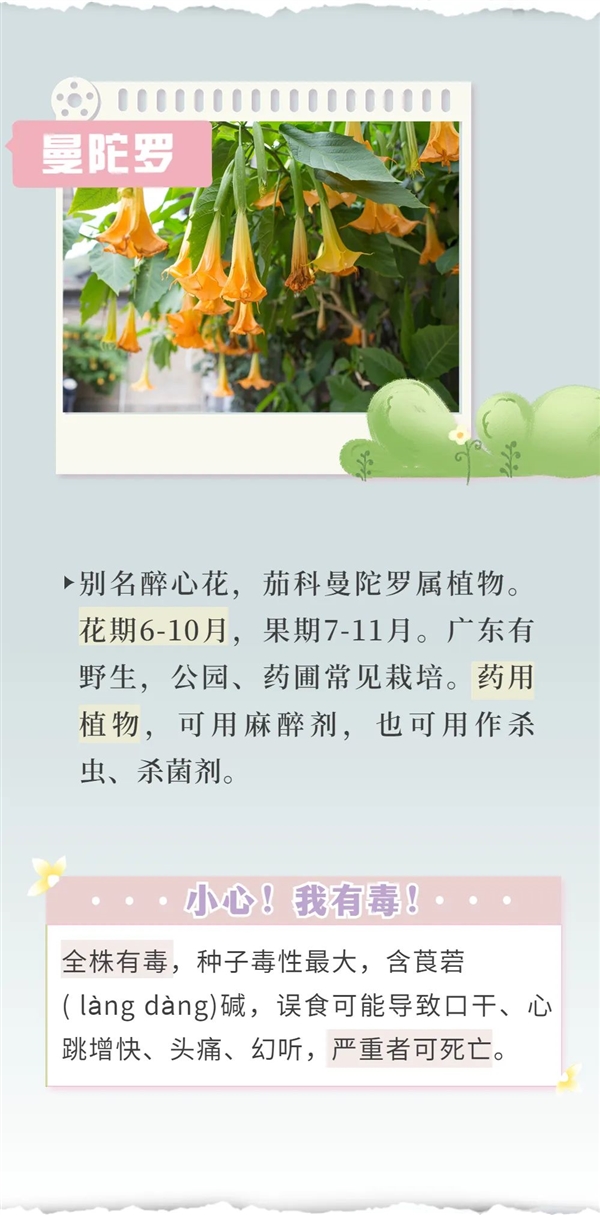 知名女演员最新大片引争议 网友惊呼:这花有毒!