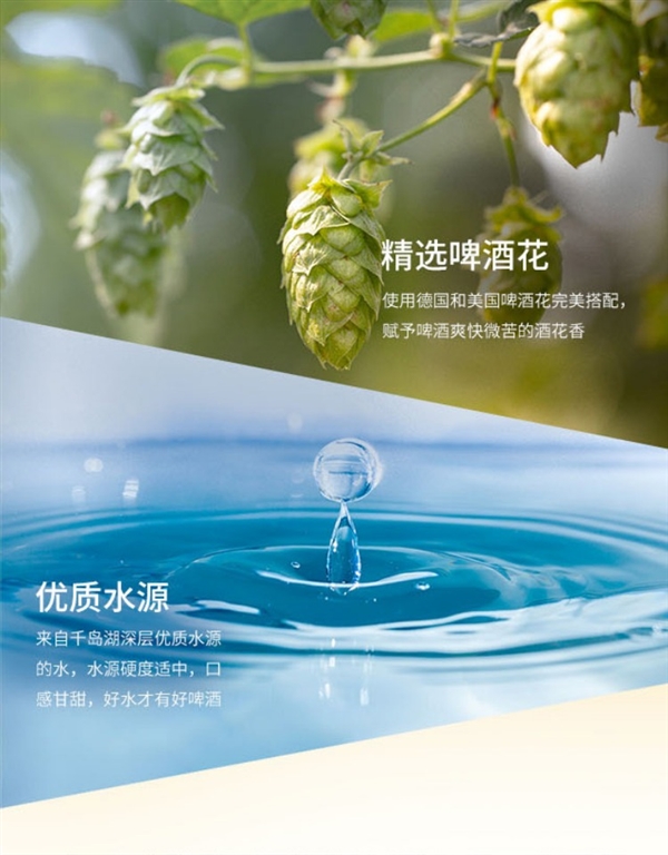 全麦芽 口感回甘:上海力波500ml精酿啤酒2.5元/罐抄底