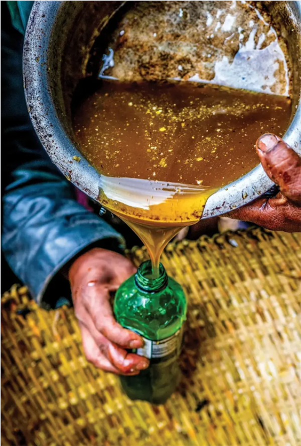 当地是稀罕物 却被多个国家封杀:土耳其