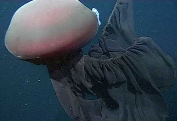 深海