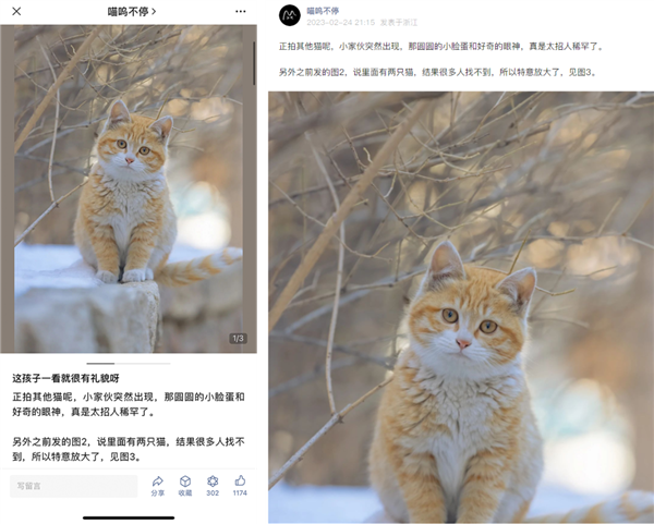 微信新版“图片消息”你见过没？看图太爽了