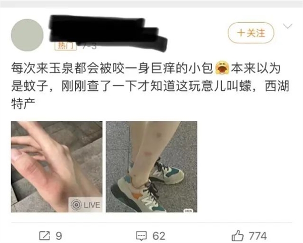 最近多人中招！身上突然不明原因痒一下、又红又肿：被它咬的