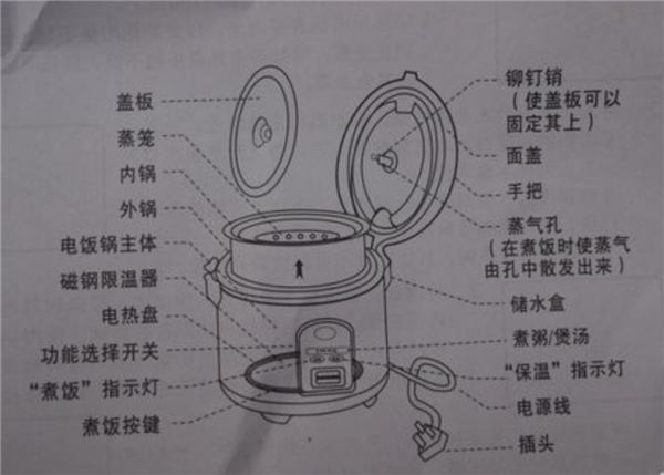 电饭煲这4个地方不洗：当心吃“蟑螂蒸饭”！