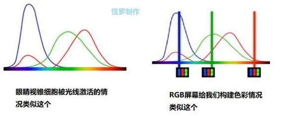 所有熊猫都是天生近视！有的生下来就800度？