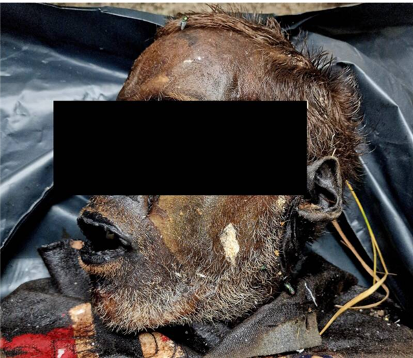 男子死后尸体不腐不烂 16天就变成木乃伊：科学家挠破了脑袋