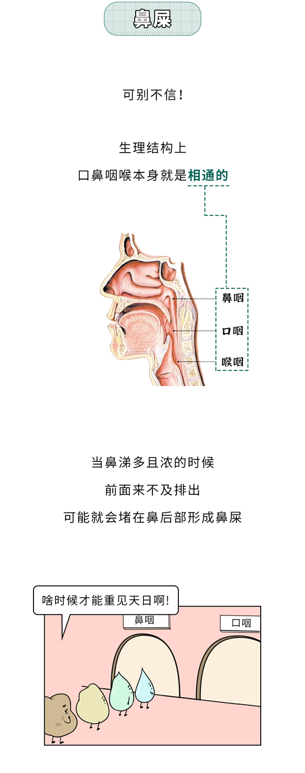 重口味科普！嘴里咳出来贼臭的黄色小颗粒：到底是啥？